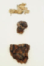 Branded bark on table, 2014