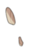 ile3roche1.png