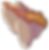 ile 4 sans roche.png