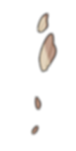ile1roche1.png