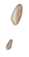 ile1roche8.png