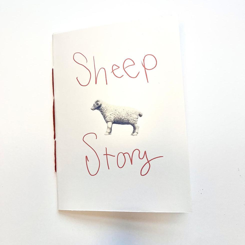 WhatsApp Image 2025-08-20 at 18.13.41