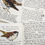 Thumbnail: Birds of Shame - Volume Two