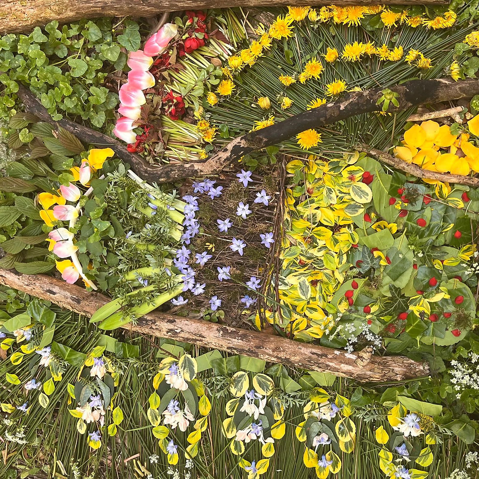 WhatsApp Image 2025-06-28 at 17.35.12