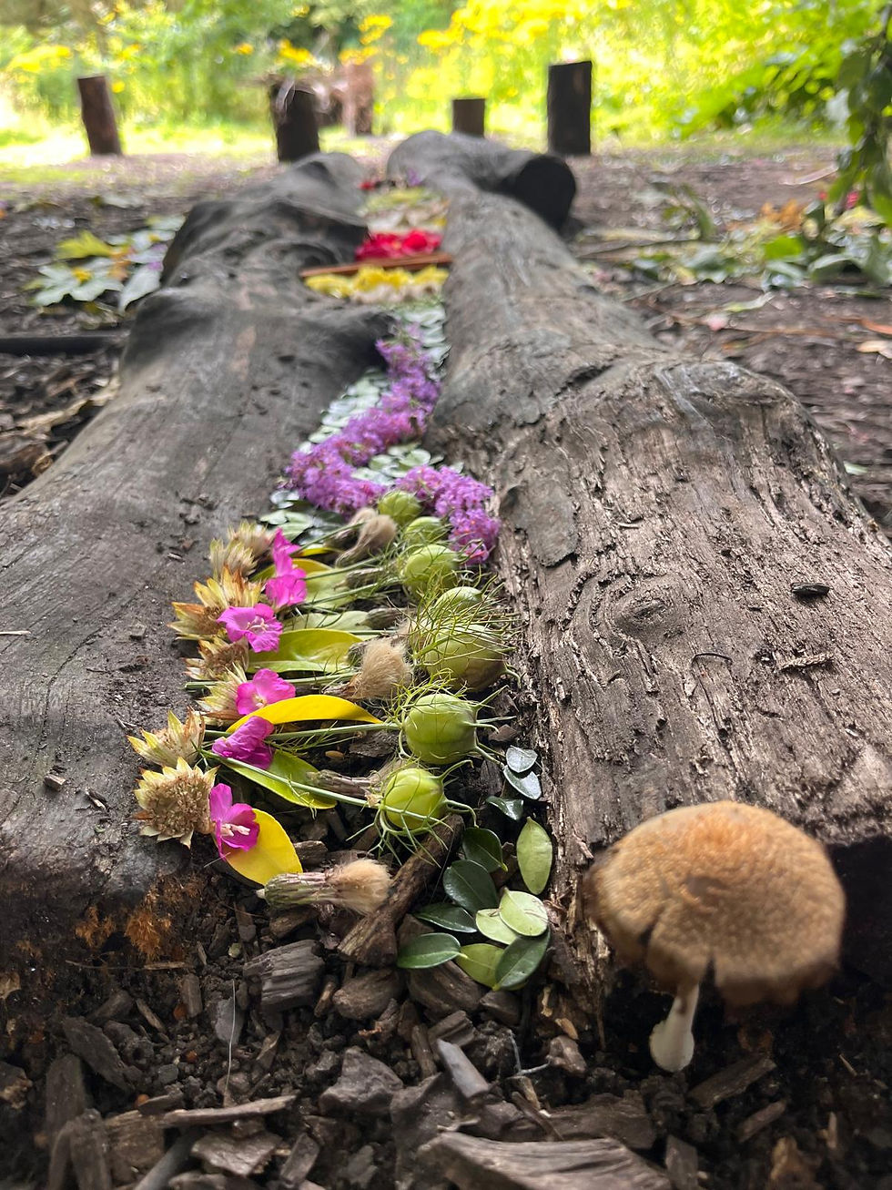 WhatsApp Image 2025-08-21 at 07.55.43 (5)