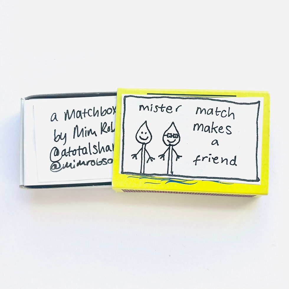 mister match makes a friend - A Matchbox Story