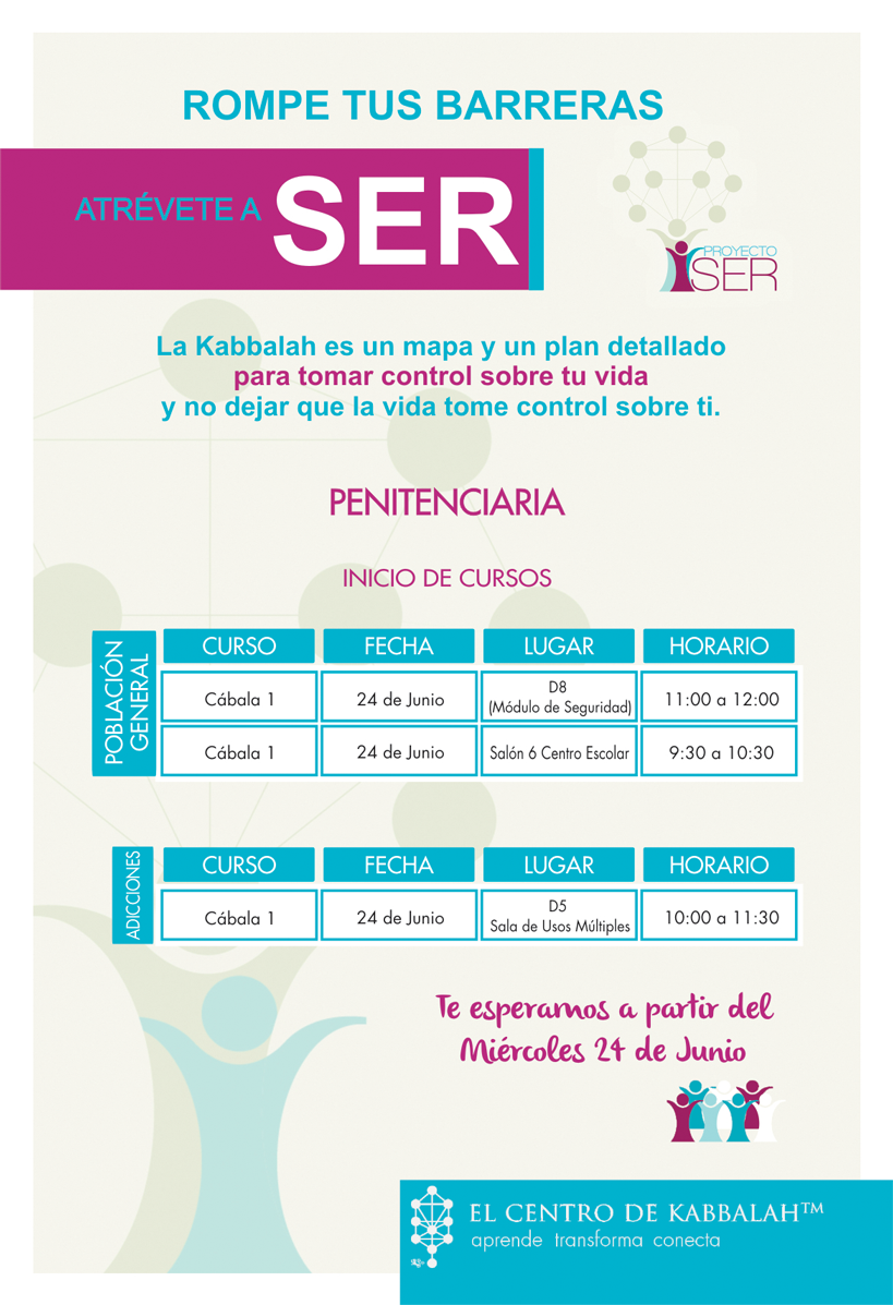 Cartel Proyecto SER