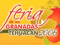 Feria de Las Granadas Tehuacán 2006