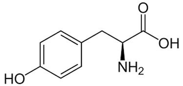 Tyrosine