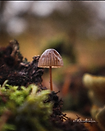 {9E82C8AC-65B0-4005-BA4A-7B26BE12FBFE}.png