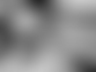 Quick Trip To South Padre Island