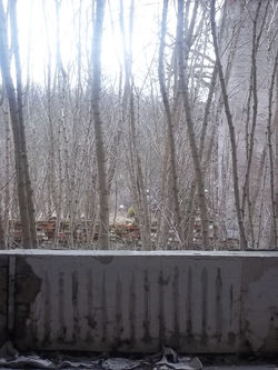 100_0751 - Kopie.JPG