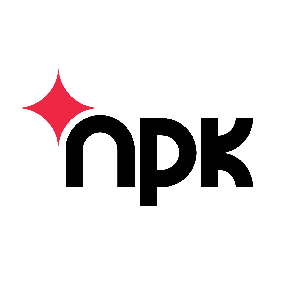 NPK24_black logo pink star.png