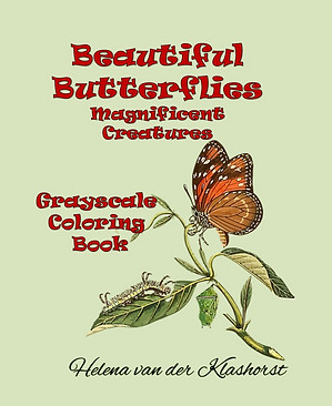 Beautiful Butterflies magnificent creatu