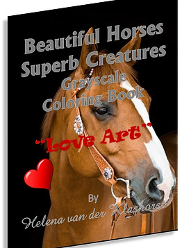 Beautiful Horses Supurb.jpg