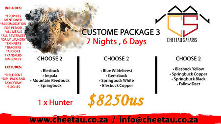 Custome Package 3.jpg