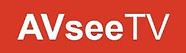 17-AVseeTV.jpg