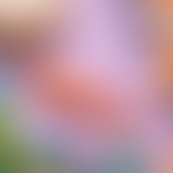 어른이집에서 제공하는 남성용 딜도 최신 주소 모음 이미지