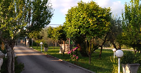 P_20190524_190314 (1).jpg