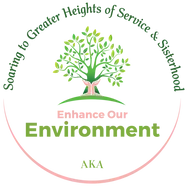 enhance_environment-1000x1000.webp
