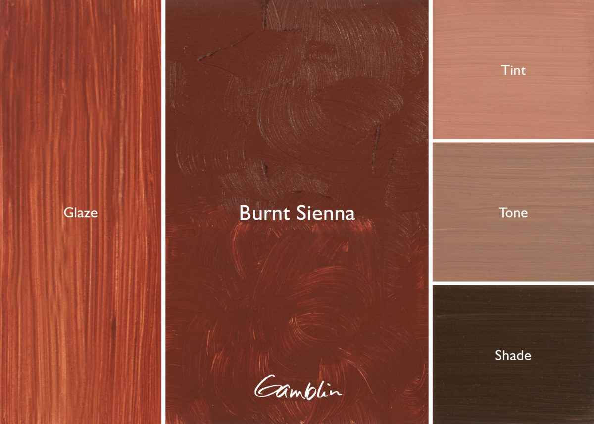 GAMBLIN ARTIST'S OIL COLOUR | BURNT SIENNA 37 ML