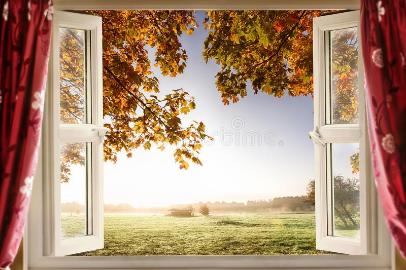 ree