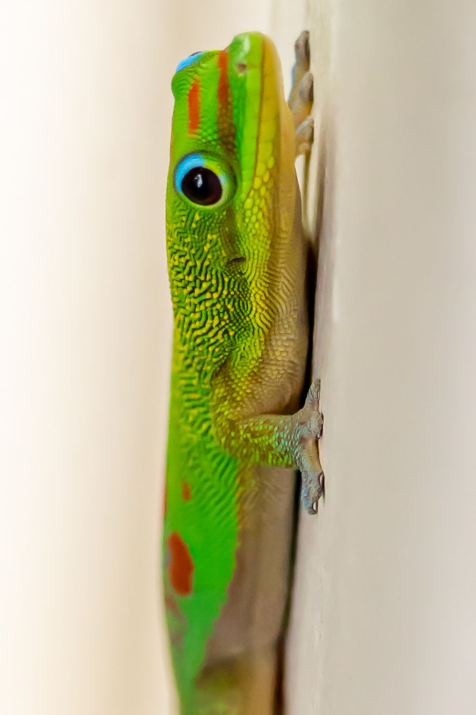 Nature 9