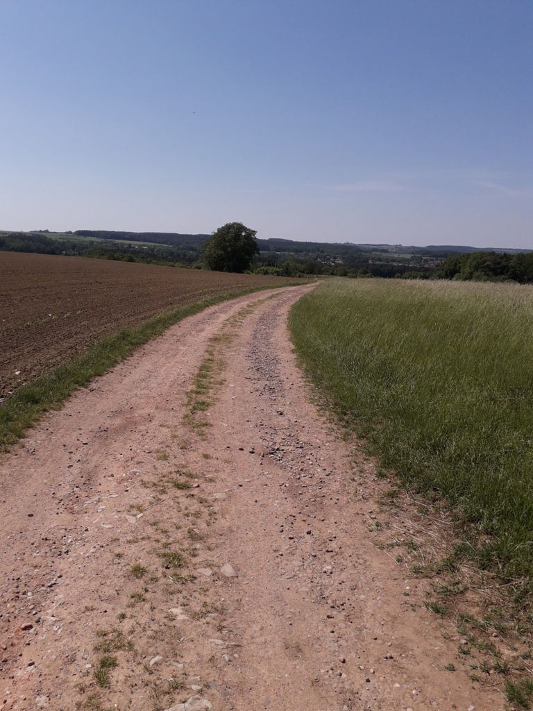 Mein Mountainbike Home Trail nahe Baiersdorf