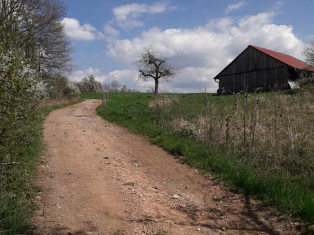Mein Mountainbike Home Trail Baiersdorf