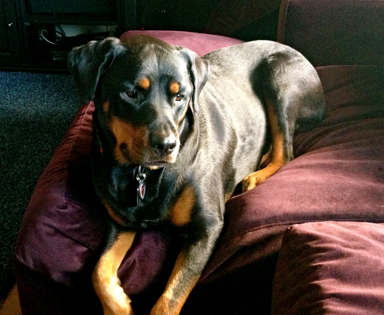 Athena