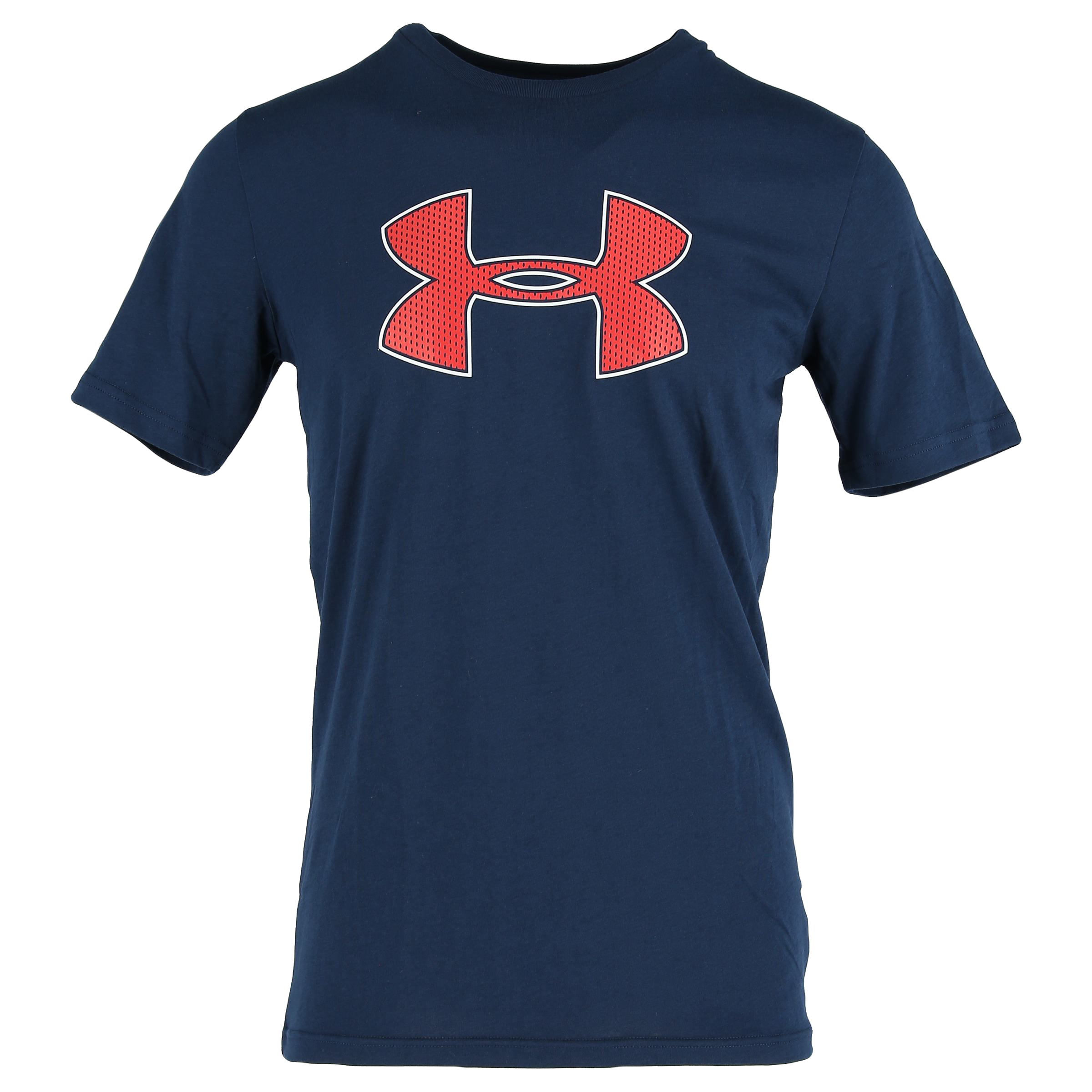 POLERA BIG LOGO SS