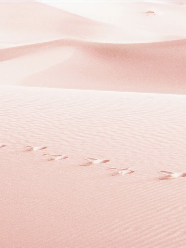 Pink Sand_edited.jpg