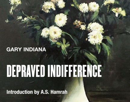cover of Gary Indiana's novel Depraved Indifference