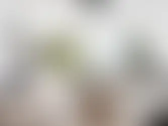 Breathe Easy: Embracing Biophilic Design at Home