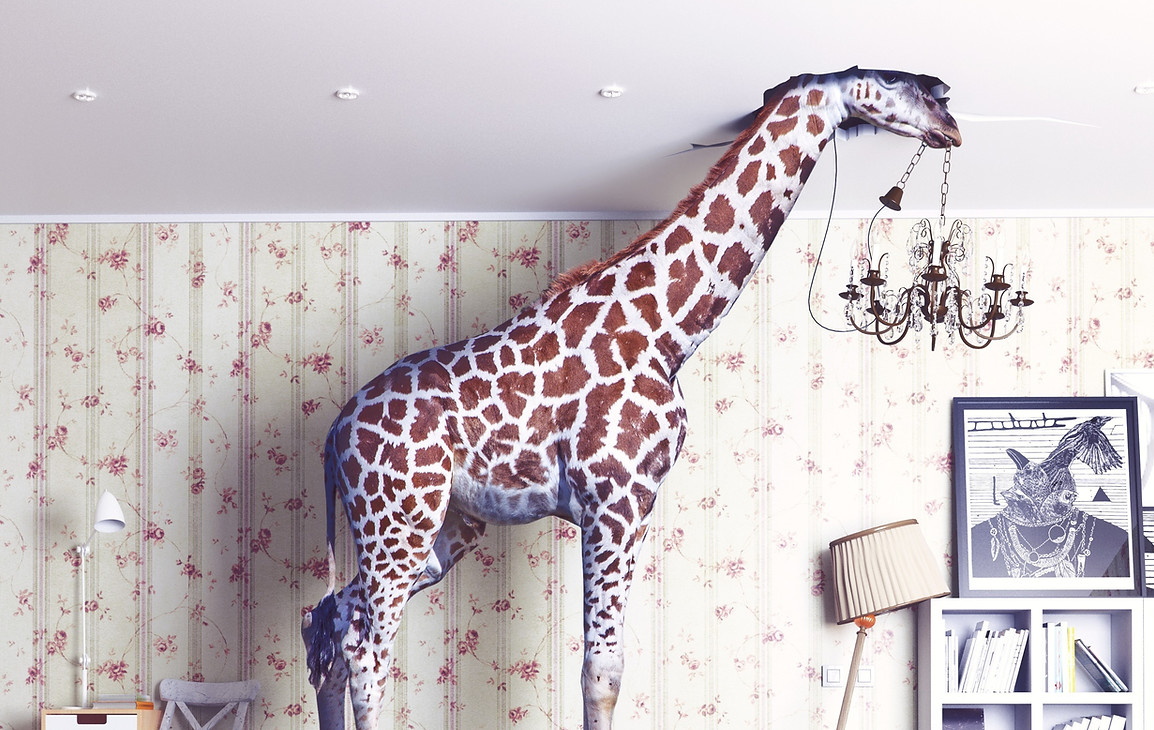 Giraffe im Altbau