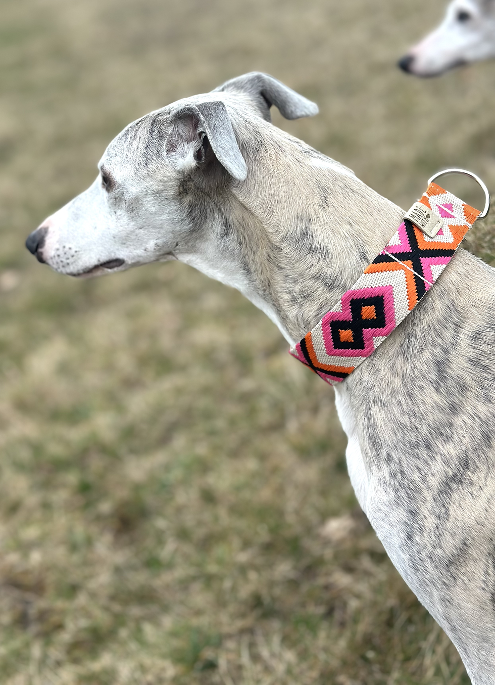 Martingale Halsband am Hund