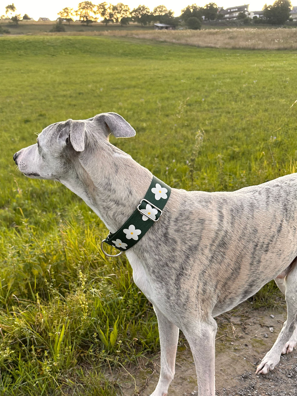 Miniaturbild: Martingale ‚Waldblüte‘