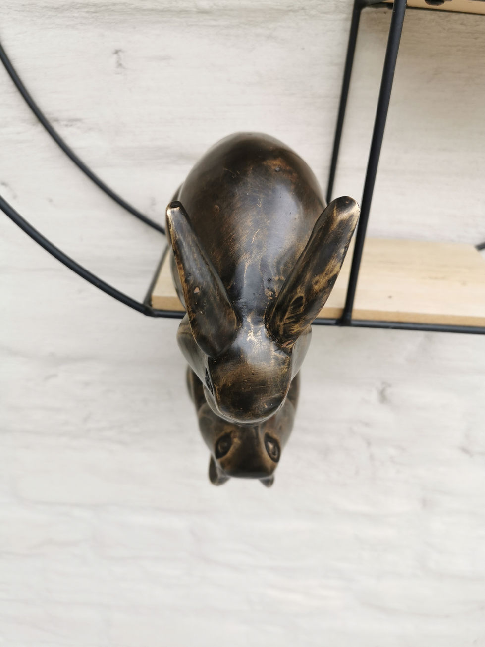 Two bronze rabbits - Heroic statue - contemporary art - modern art