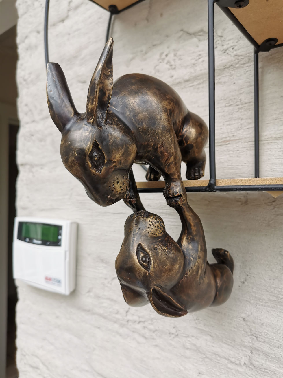 Two bronze rabbits - Heroic statue - contemporary art - modern art