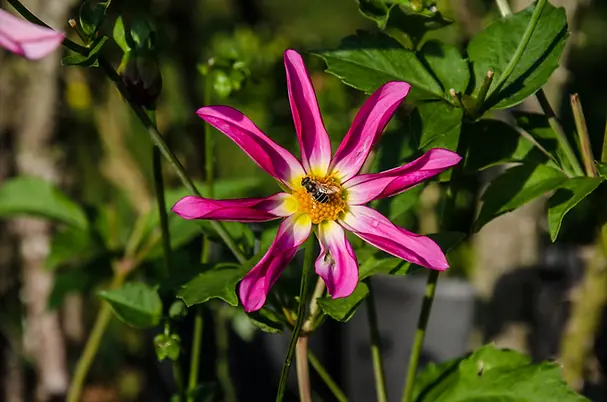 DSC_1117.webp