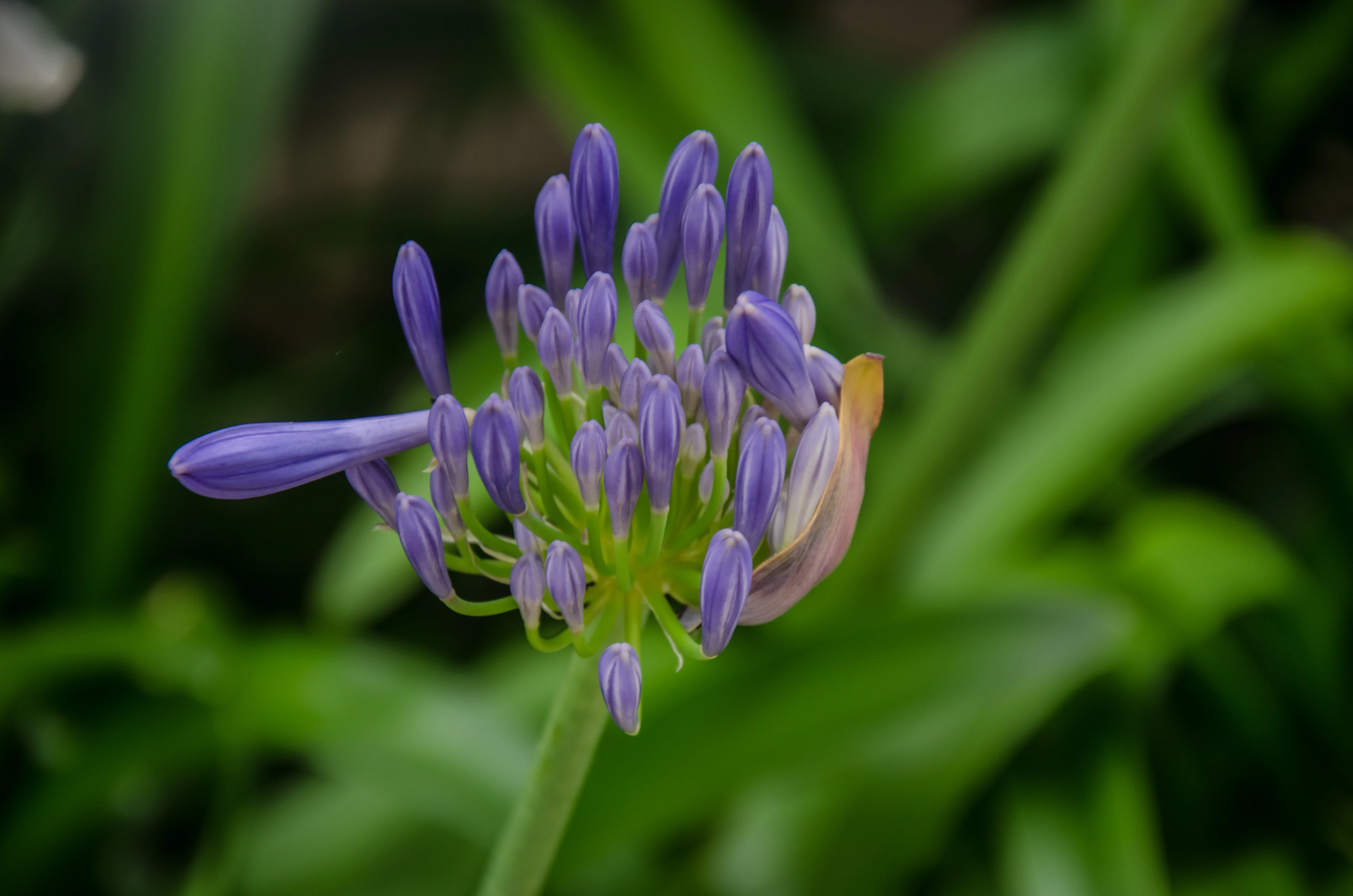 DSC_0372.webp