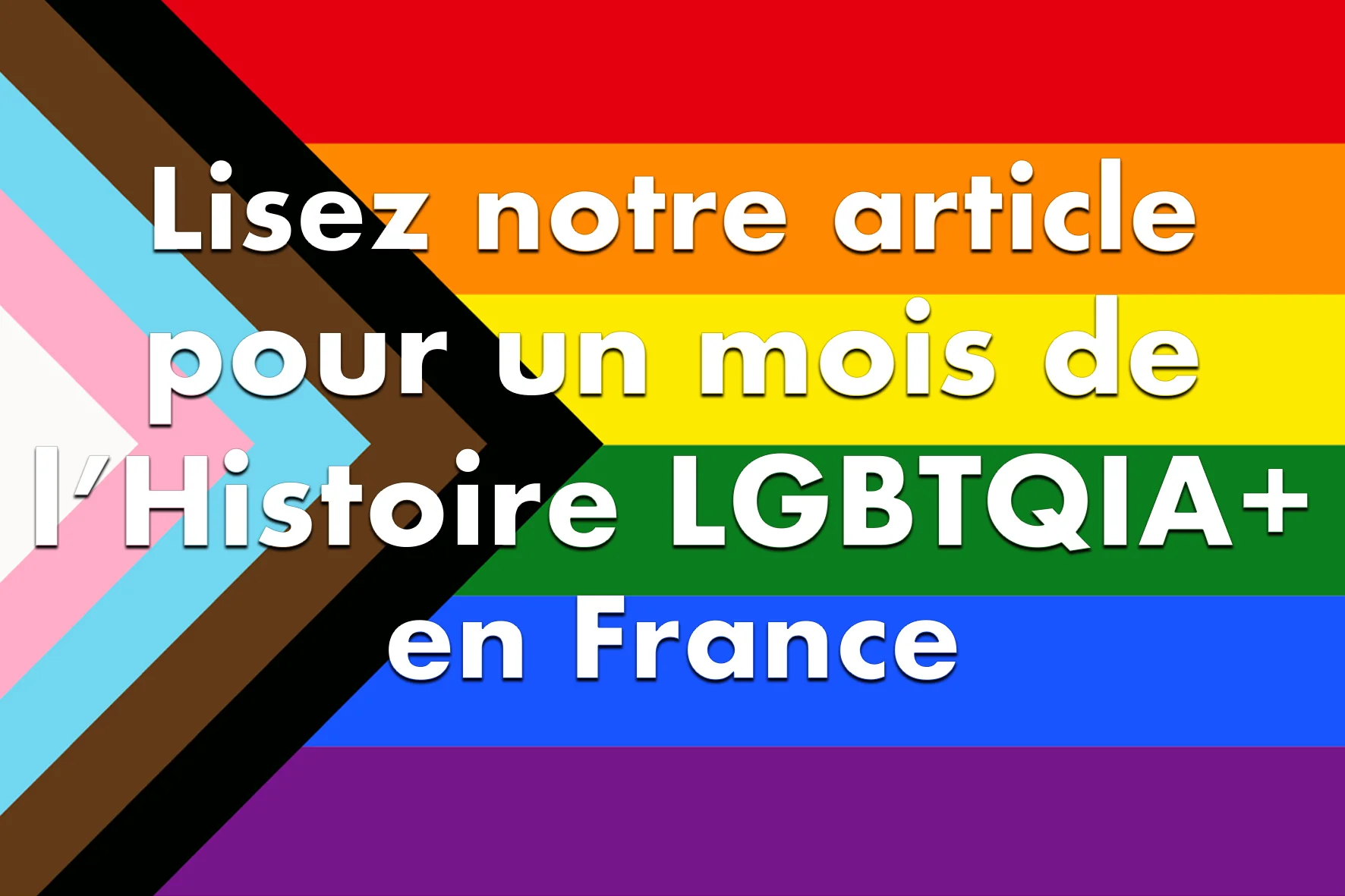 Histoire LGBTQIA+ article.webp