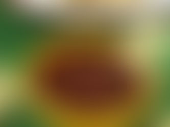 Restaurant Style Salsa