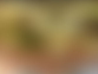 Hungarian Cabbage and Noodles