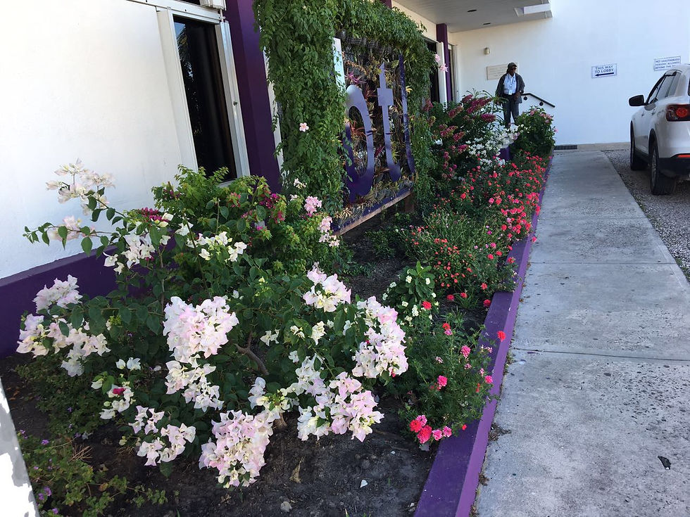 BTL by Pandora's Window Box Nursery