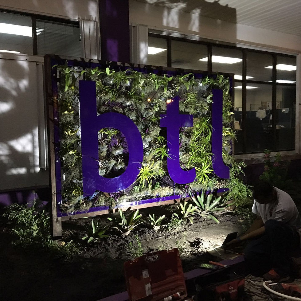 PWN BTL Project