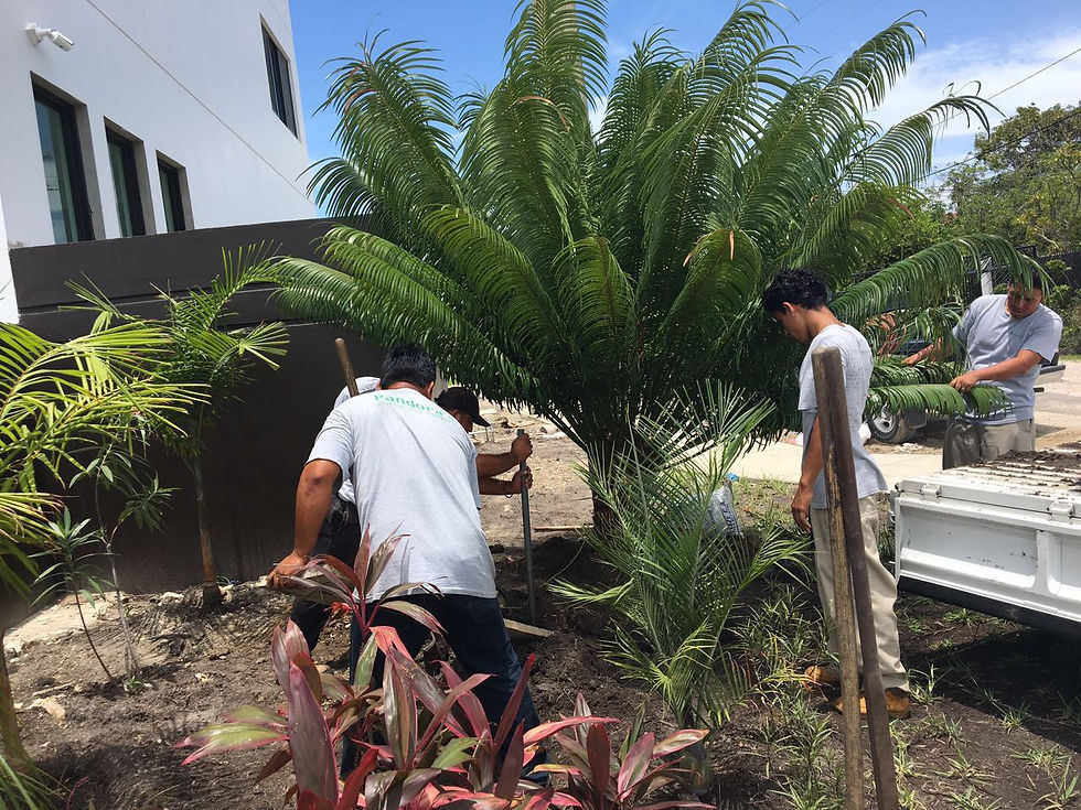 Margaret Drive Luxury condos gardens