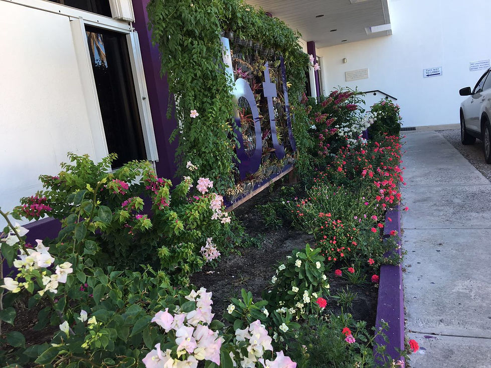 BTL by Pandora's Window Box Nursery