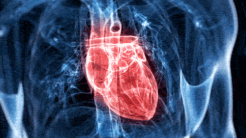 NEW_Heartbeat_looping_GIF_NORMAL_0.gif