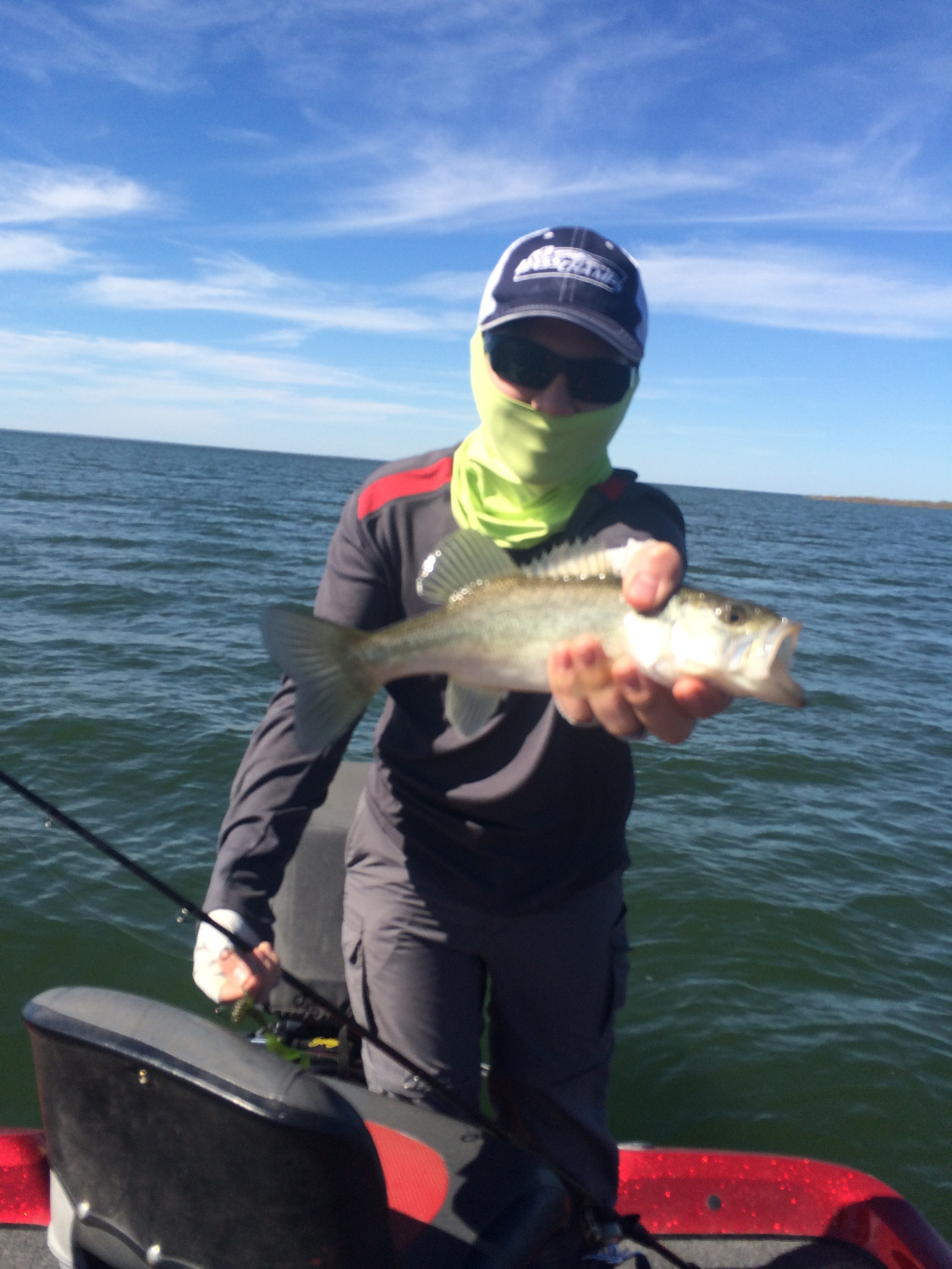 Falcon Lake Lodging Zapata Texas Vacation Rentals